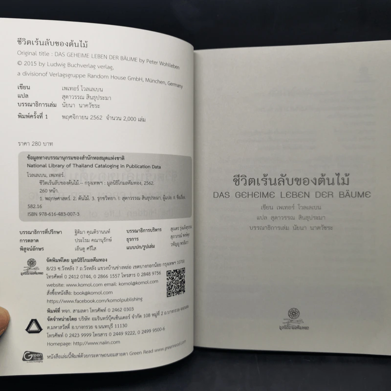ชีวิตเร้นลับของต้นไม้ - เพเทอร์ โวลเลเบน รูปที่ 9