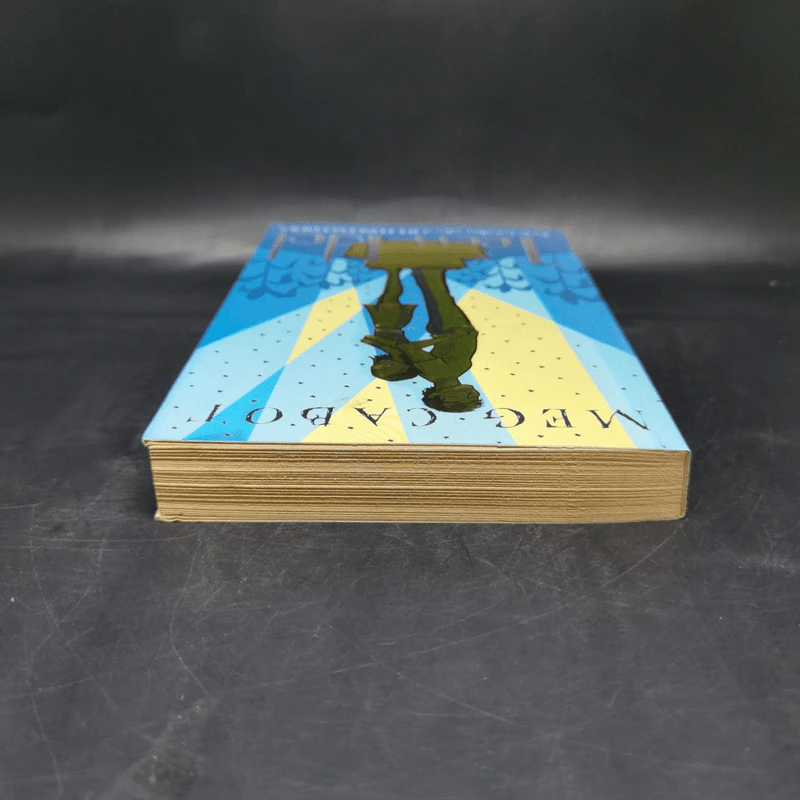 Teen Idol - Meg Cabot รูปที่ 6
