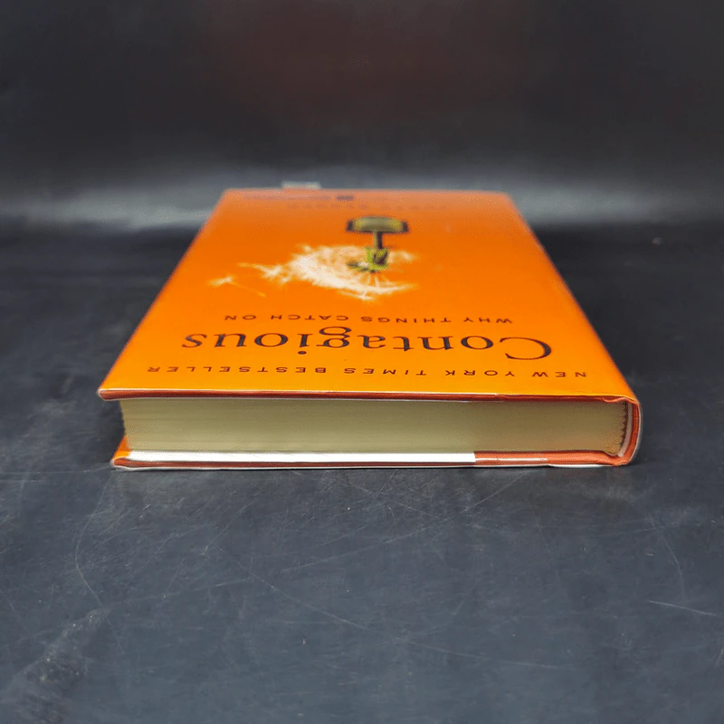 Contagious: Why Things Catch On - Jonah Berger รูปที่ 6