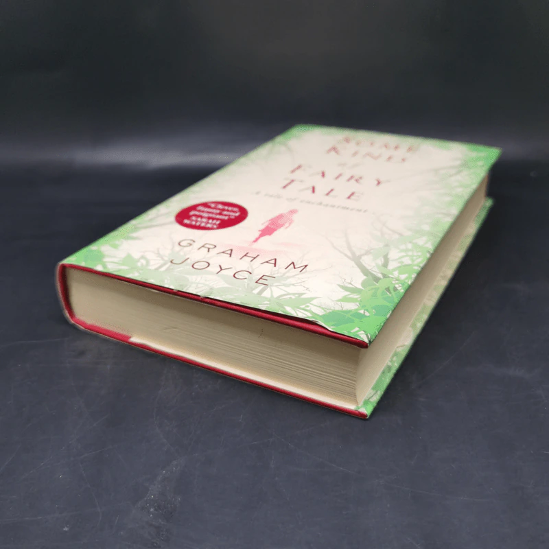 Some Kind of Fairy Tale - Graham Joyce รูปที่ 7