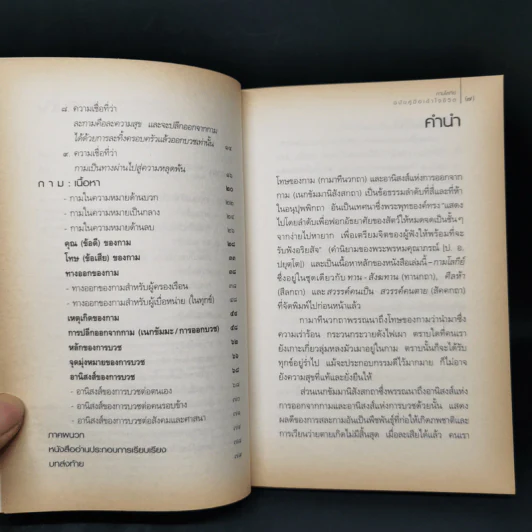 กามโลกีย์ ฉบับคู่มือเข้าใจชีวิต - ศีลปาโล รูปที่ 9