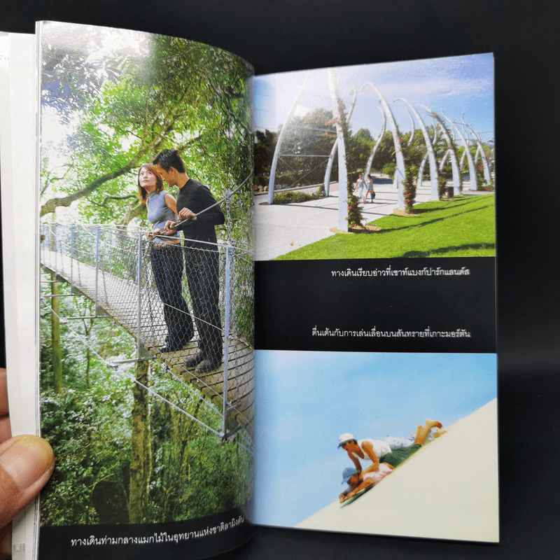คู่มือนักเดินทางฉบับพกพา Brisbane Gold Coast รูปที่ 12