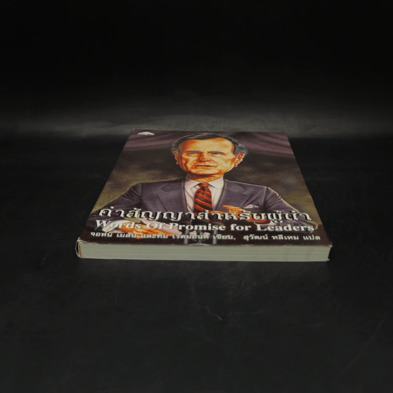 คำสัญญาสำหรับผู้นำ - จอห์น เมสัน และทิม เรดมอนด์ รูปที่ 4