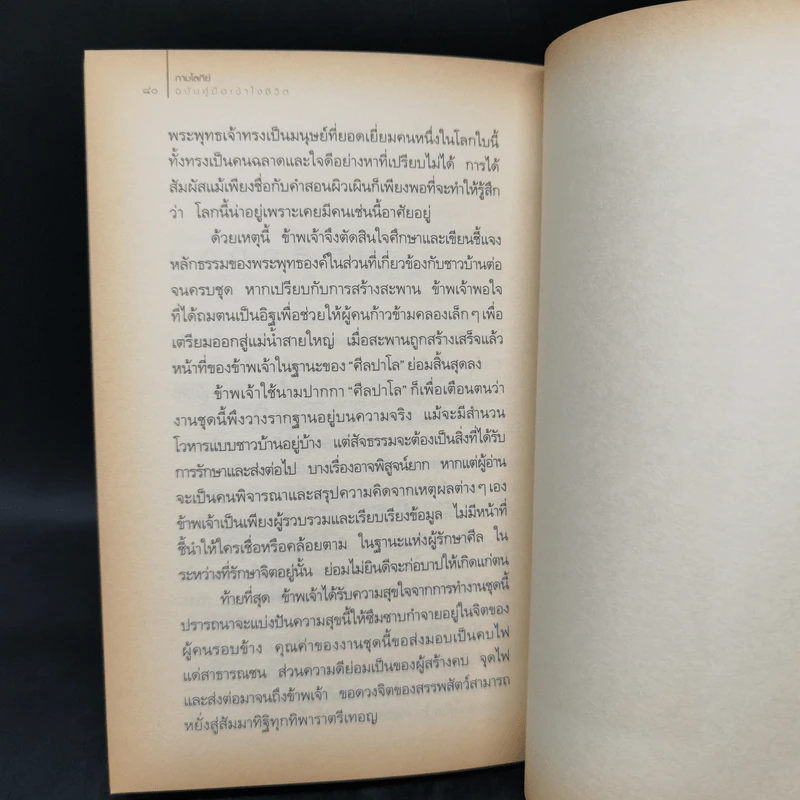 กามโลกีย์ ฉบับคู่มือเข้าใจชีวิต - ศีลปาโล รูปที่ 11