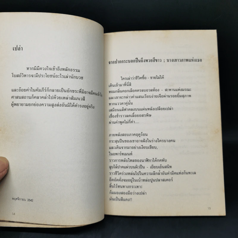 ภายใต้ดวงตาของปีกนก - พิเชษฐ์ศักดิ์ โพธิ์พยัคฆ์ รูปที่ 11