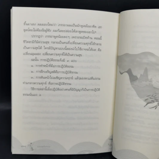 ความสุขในกำมือ - ว.วชิรเมธี รูปที่ 13