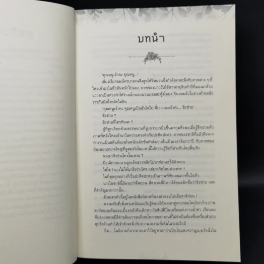 ในโลกใหม่ ข้าคือผู้ช่วยวายร้าย - กัญฉัตร รูปที่ 9