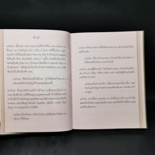 ฤทธิ์แห่งใจ - ฐิตินาถ ณ พัทลุง รูปที่ 9