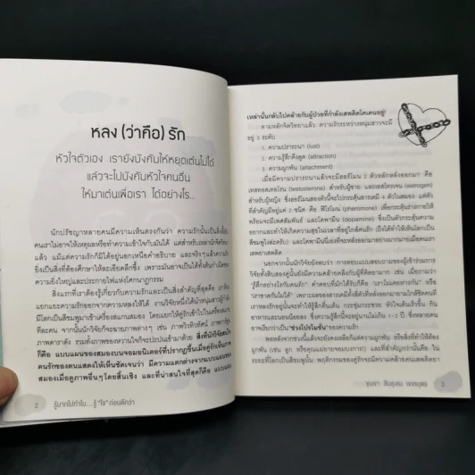 รู้มากไปทำไม รู้ใจก่อนดีกว่า - ขุนเขา สินธุเสน เขจรบุตร รูปที่ 11