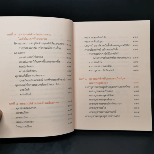 สวดเป็นเห็นผลทันตา - วรลักษณ์ ผ่องสุขสวัสดิ์, พันตรีวิรัช รูปที่ 11
