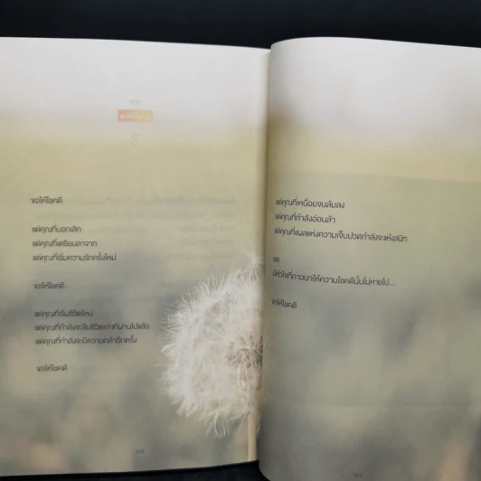 Thanks to Me คำธรรมดา, การทักทายที่ไม่กล้าบอกตัวเอง - Jeon Seung-Hwan รูปที่ 12