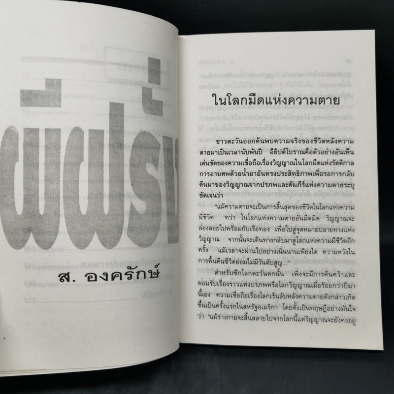 ผีฝรั่ง - ส.องครักษ์ รูปที่ 10