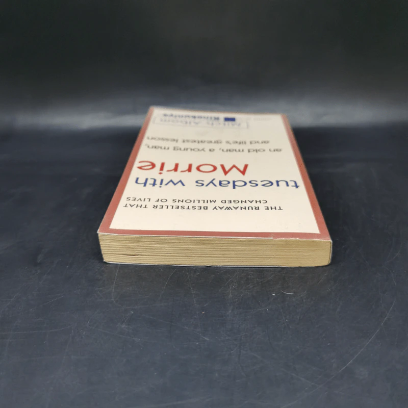 Tuesdays with Morrie - Mitch Albom รูปที่ 6