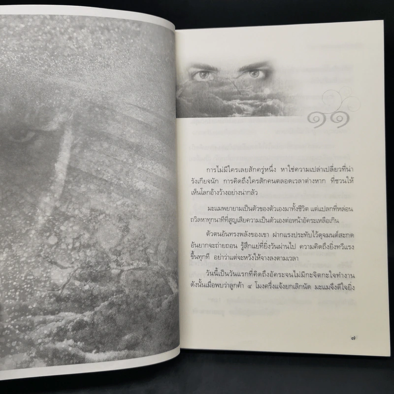 จิตจักรพรรดิ ตอน ลายเซ็นจักรพรรดิ - ดังตฤณ รูปที่ 10