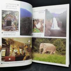 อุทยานแห่งชาติเขาใหญ่ ฉบับสมบูรณ์ รูปที่ 8