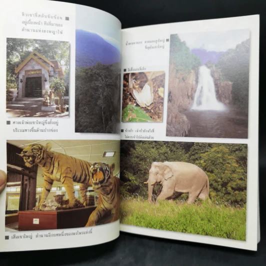 อุทยานแห่งชาติเขาใหญ่ ฉบับสมบูรณ์ รูปที่ 8