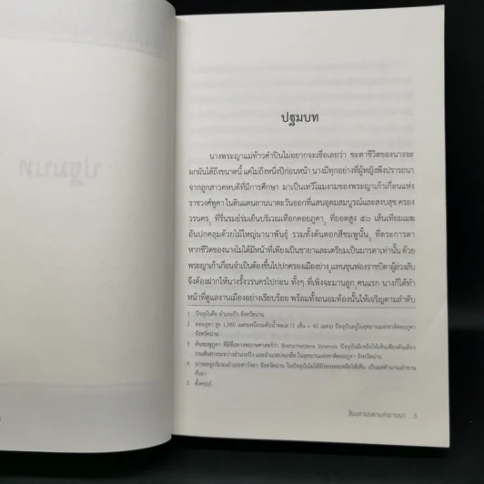 สิเนหามนตาแห่งลานนา - บัณฑูร ล่ำซำ รูปที่ 10