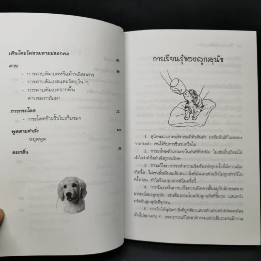 คู่มือฝึกหมาให้เป็นสุนัข - สมลักษณ์ สว่างโรจน์ รูปที่ 11