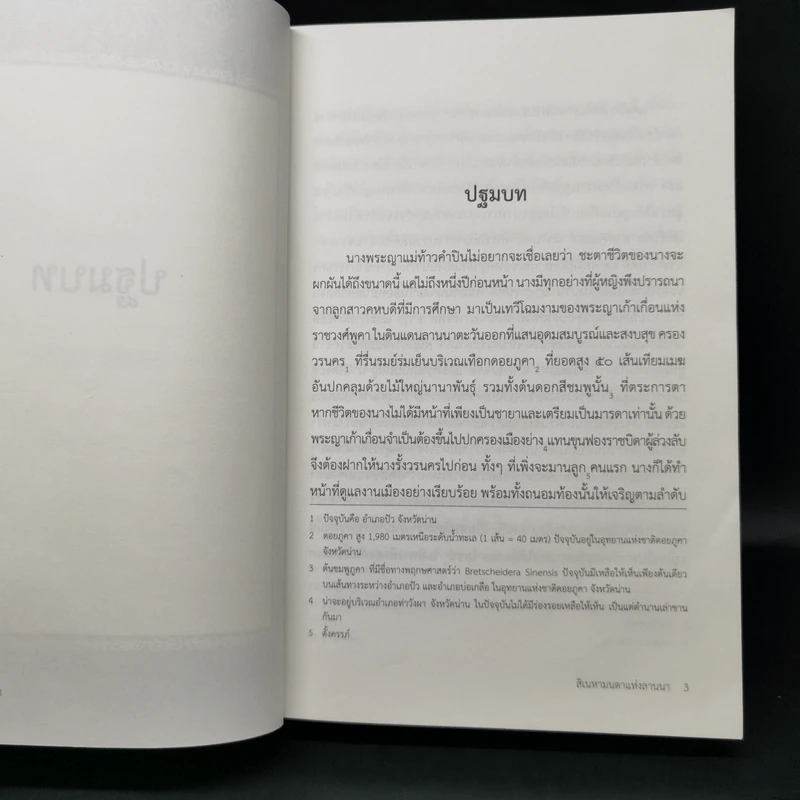 สิเนหามนตาแห่งลานนา - บัณฑูร ล่ำซำ รูปที่ 10