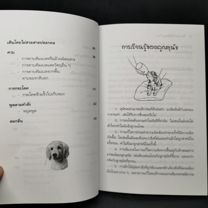 คู่มือฝึกหมาให้เป็นสุนัข - สมลักษณ์ สว่างโรจน์ รูปที่ 11