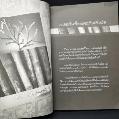 The Top Secret เดอะท็อปซีเคร็ต - ทันตแพทย์สม สุจีรา รูปที่ 12