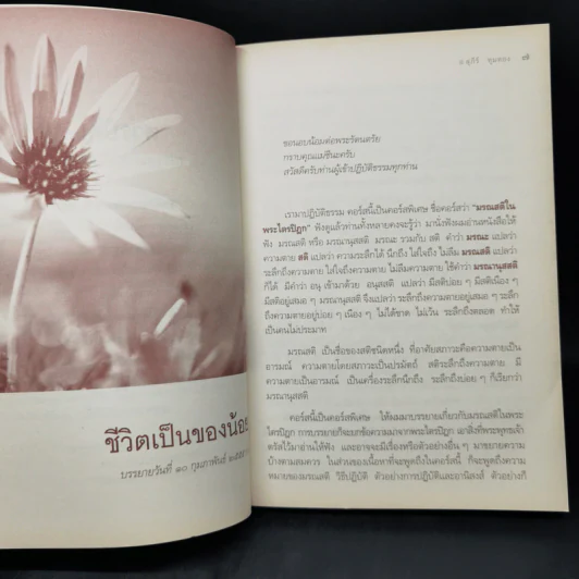 มรณสติในพระไตรปิฎก - อ.สุภีร์ ทุมทอง รูปที่ 10