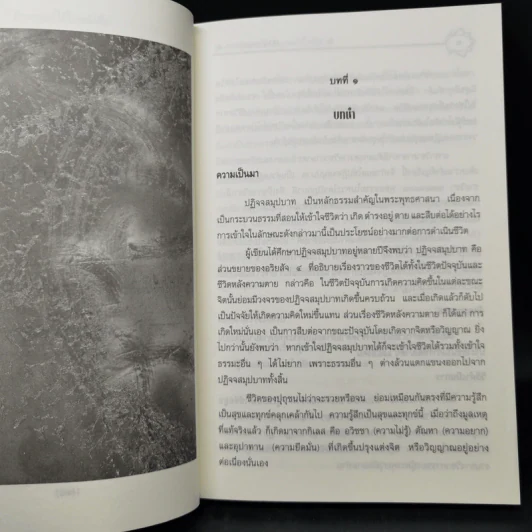 ปฏิจจสมุปบาท - บรรจบ บรรณรุจิ รูปที่ 13