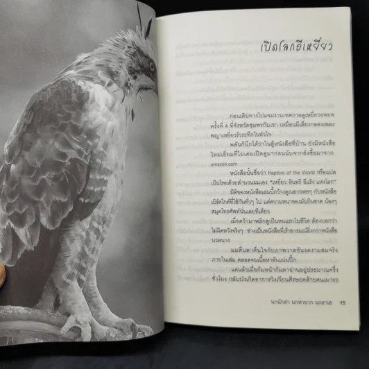 นกนักล่า นกหายาก นกฮาเฮ - ปริญญา ผดุงถิ่น รูปที่ 10