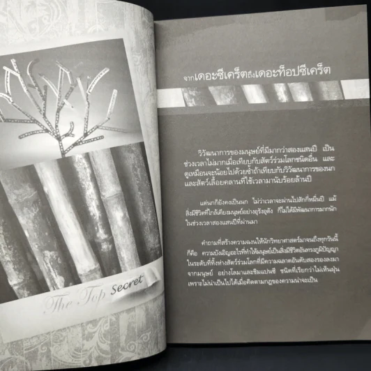 The Top Secret เดอะท็อปซีเคร็ต - ทันตแพทย์สม สุจีรา รูปที่ 12