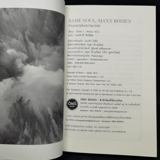 Same Soul Many Bodies : ข้ามเวลาเยียวยาอนาคต - M.D. Brian L.Weiss รูปที่ 8