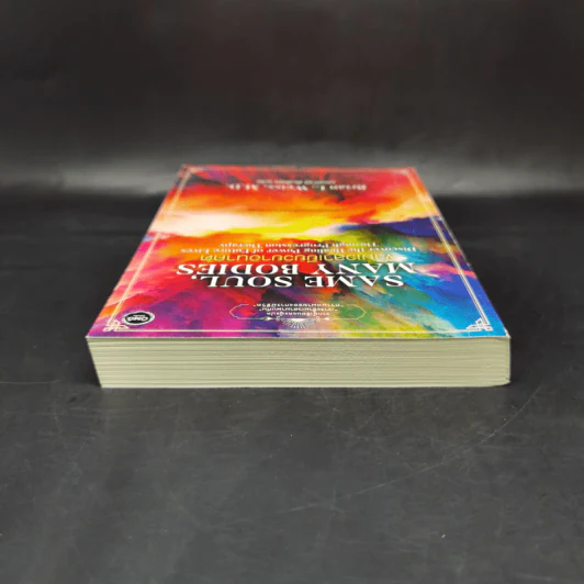 Same Soul Many Bodies : ข้ามเวลาเยียวยาอนาคต - M.D. Brian L.Weiss รูปที่ 6