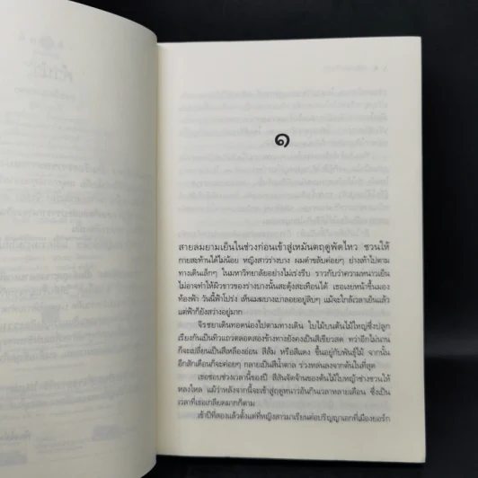 เพชรแสงอัสดง - ธารใส รูปที่ 9
