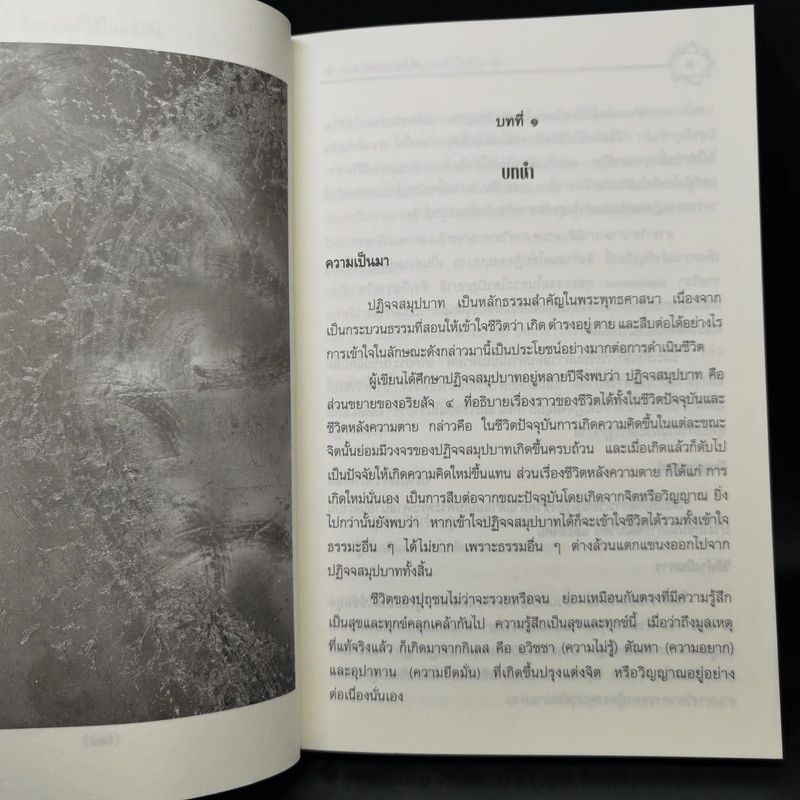 ปฏิจจสมุปบาท - บรรจบ บรรณรุจิ รูปที่ 13