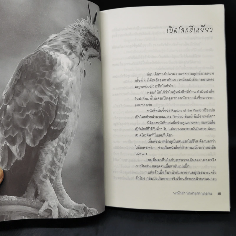 นกนักล่า นกหายาก นกฮาเฮ - ปริญญา ผดุงถิ่น รูปที่ 10