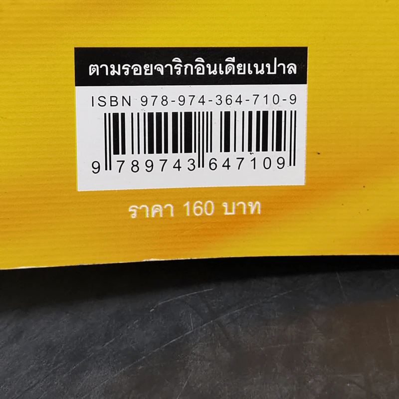 ตามรอยจาริก อินเดีย เนปาล - รศ.ดร.สำเนียง เลื่อมใส รูปที่ 14