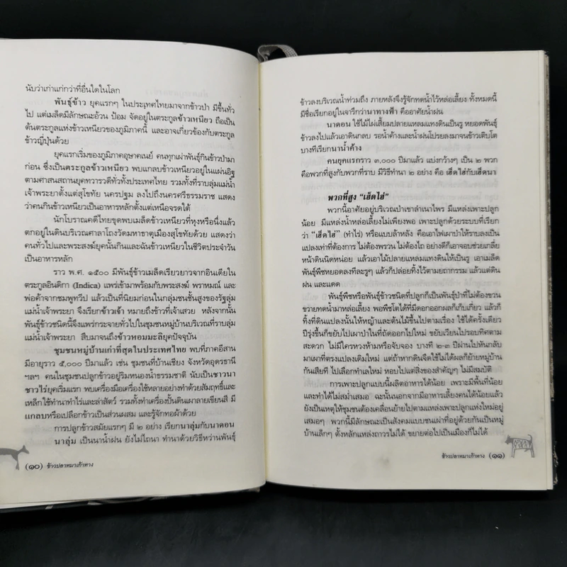 ข้าวปลาหมาเก้าหาง ประชุมคำบอกเล่าเก่าแก่เกี่ยวกับกำเนิดต้นข้าว - สุจิตต์ วงษ์เทศ รูปที่ 11