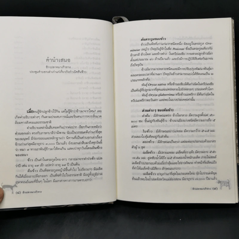 ข้าวปลาหมาเก้าหาง ประชุมคำบอกเล่าเก่าแก่เกี่ยวกับกำเนิดต้นข้าว - สุจิตต์ วงษ์เทศ รูปที่ 10