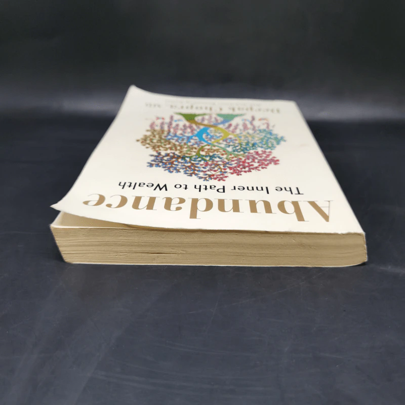 Abundance: The Inner Path to Wealth - Deepak Chopra M.D. รูปที่ 6