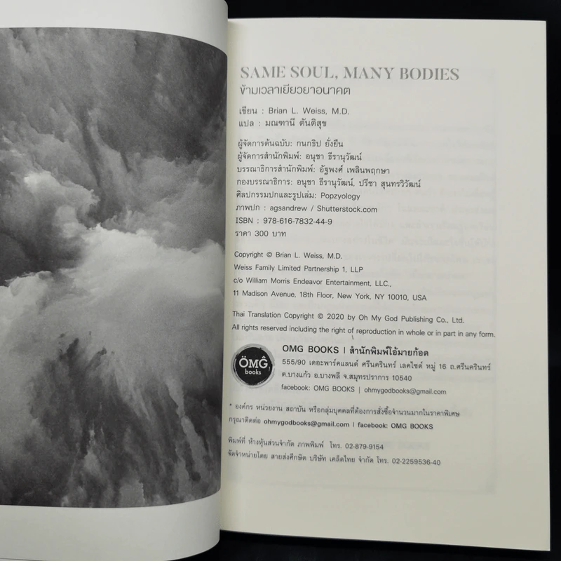Same Soul Many Bodies : ข้ามเวลาเยียวยาอนาคต - M.D. Brian L.Weiss รูปที่ 8