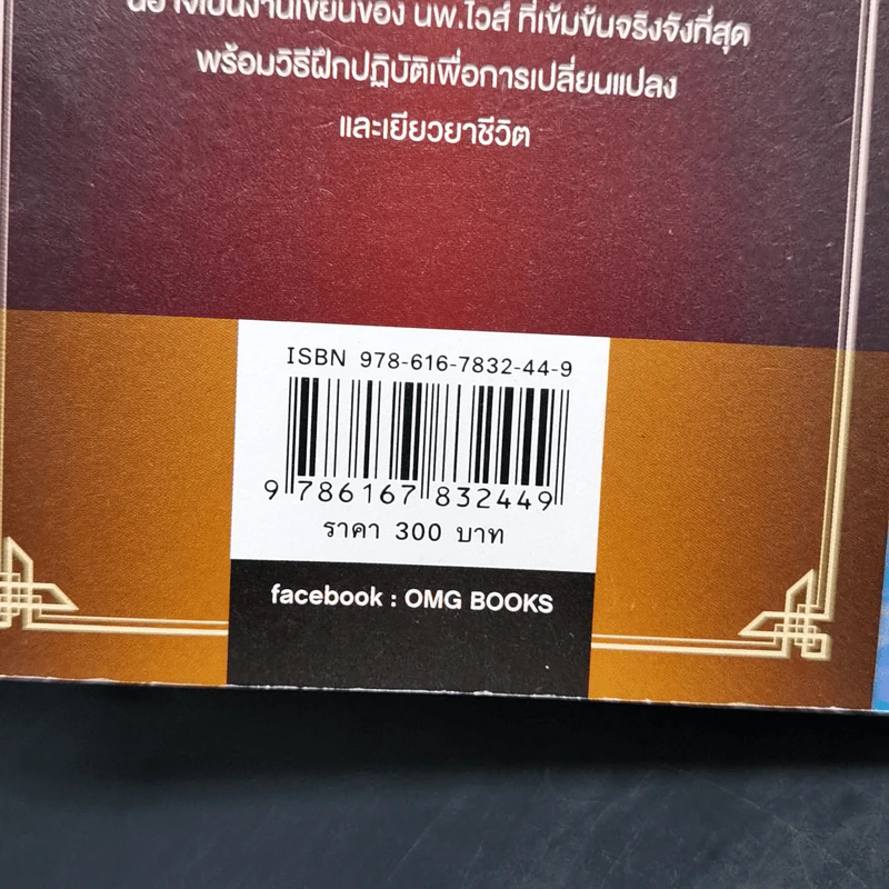 Same Soul Many Bodies : ข้ามเวลาเยียวยาอนาคต - M.D. Brian L.Weiss รูปที่ 13