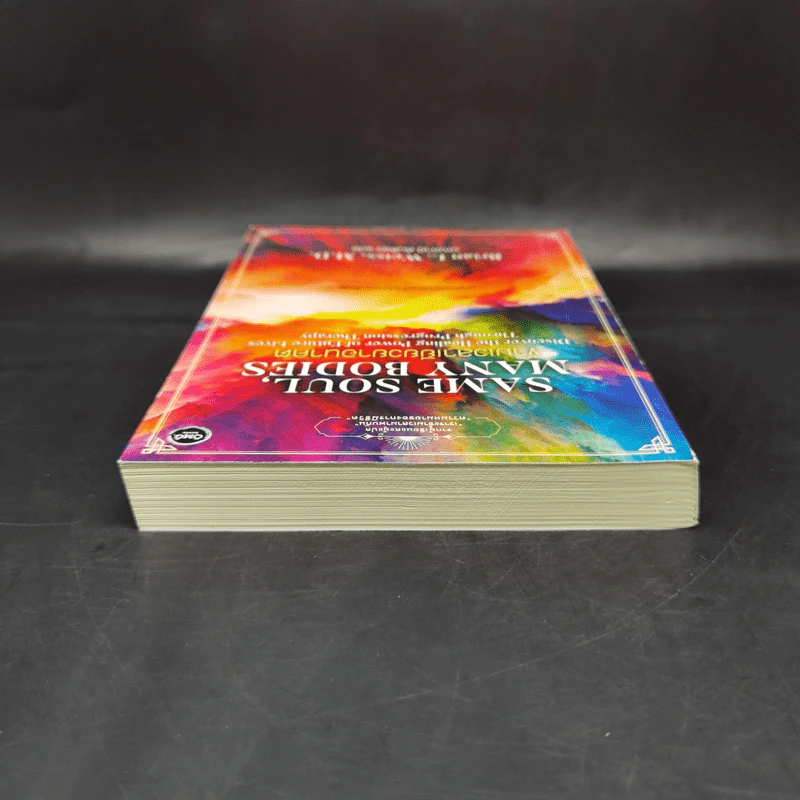 Same Soul Many Bodies : ข้ามเวลาเยียวยาอนาคต - M.D. Brian L.Weiss รูปที่ 6