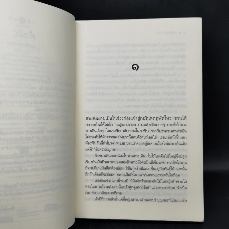 เพชรแสงอัสดง - ธารใส รูปที่ 9