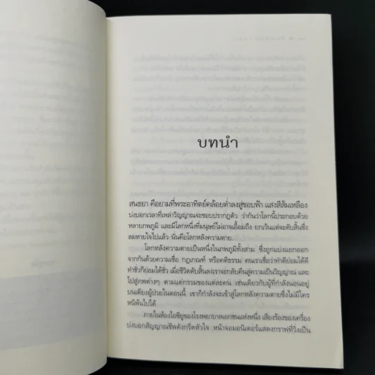 สิเน่หาสนธยา - ณัฐกฤตา รูปที่ 10