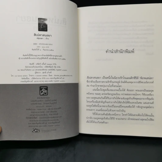 สิเน่หาสนธยา - ณัฐกฤตา รูปที่ 8