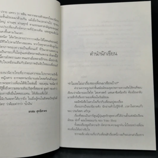 พรุ่งนี้ ดาวยังพราวแสง - ชลนิล รูปที่ 9