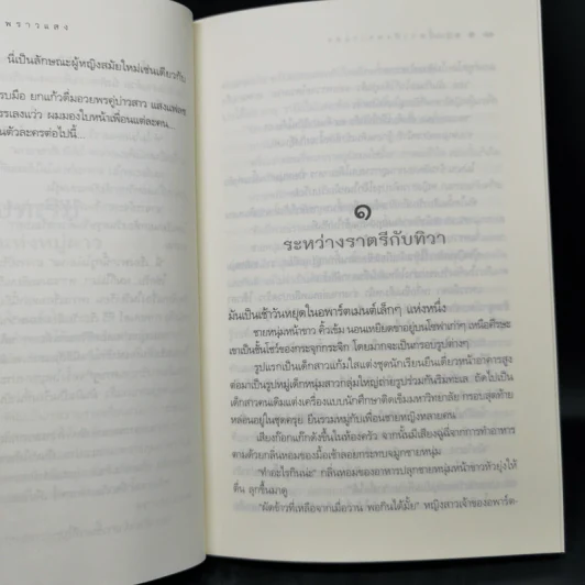 พรุ่งนี้ ดาวยังพราวแสง - ชลนิล รูปที่ 11