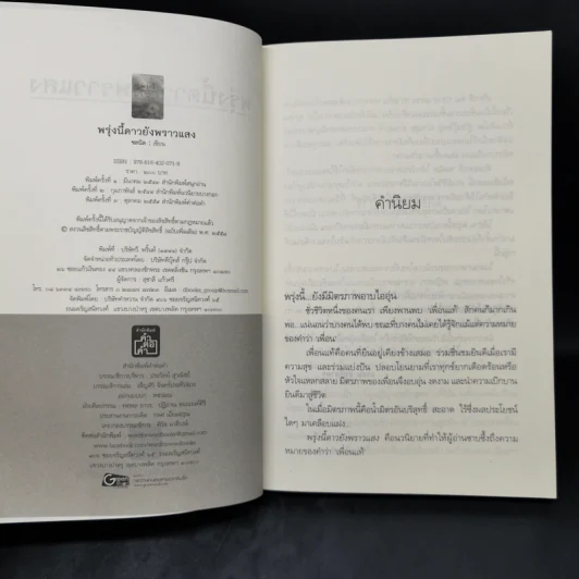 พรุ่งนี้ ดาวยังพราวแสง - ชลนิล รูปที่ 8