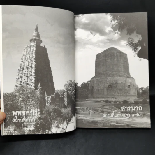 พระพุทธมนต์ ตามรอยบาทพระศาสดา อินเดีย-เนปาล - พระธรรมโพธิวงศ์ (วีรยุทโธ) รูปที่ 11