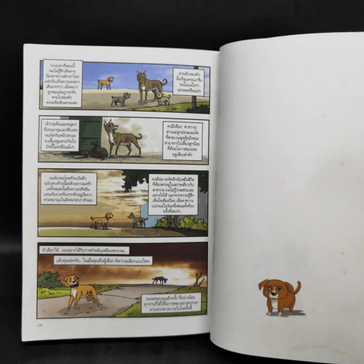 บันทึกสี่เท้า จากหัวใจผู้ไร้บ้าน ฉบับการ์ตูน - เรืองศักดิ์ ดวงพลา รูปที่ 14
