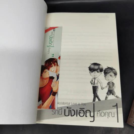 My Accidental Love is You รักนี้บังเอิญคือคุณ 2 เล่มจบ Boxset - MAME รูปที่ 8